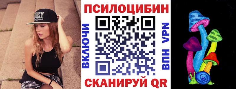 Псилоцибиновые грибы Psilocybe  Купить закладки  Макарьев 